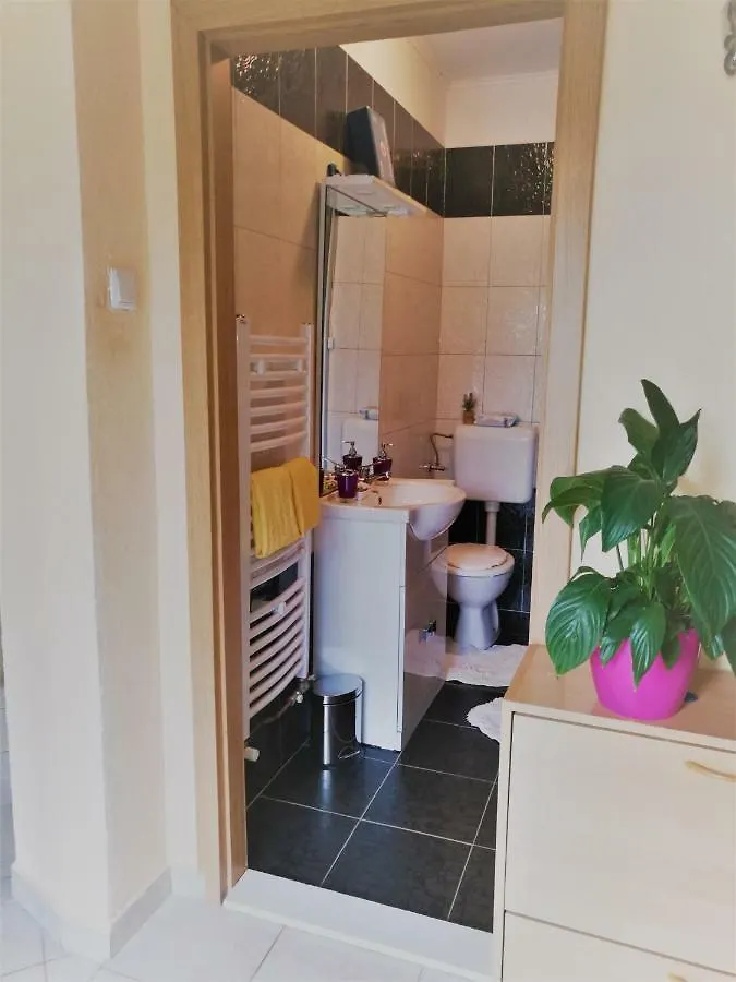 Flumine Apartment Rijeka 0*,